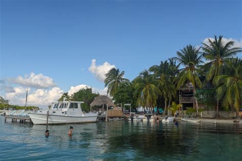 sea dreams caye caulker|Iba pa.